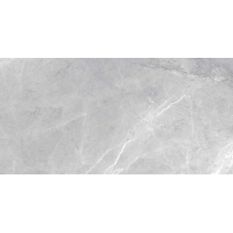 Irasu Grey Fusion 60x120
