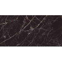 Iris Black HG 60x120