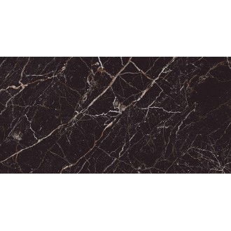 Iris Black HG 60x120