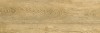 Italian Wood Honey G-251/SR (GT-251/gr) 20х60