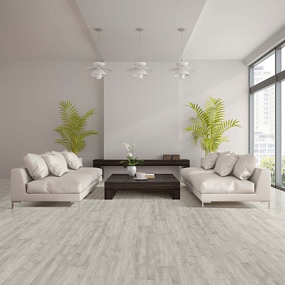 Italy Gris Absolut Gres