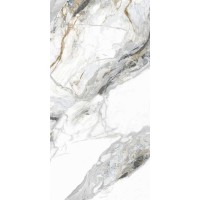 Ival White Matt 60x120