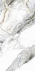 Ival White Matt 60x120