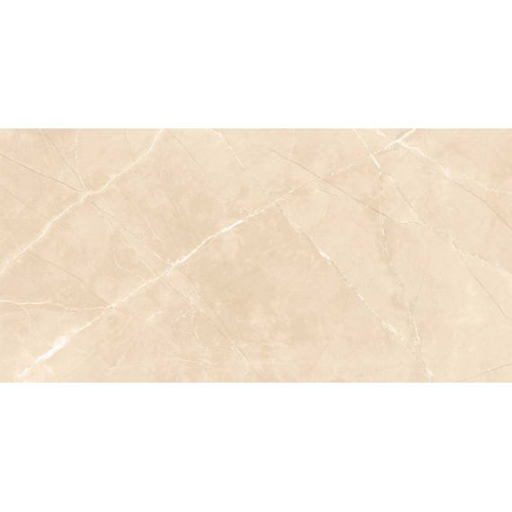 Керамическая плитка Ivory Moon Carving 60x120