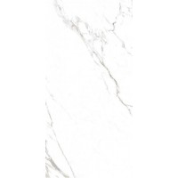 J88474 CANOVA STATUARIO RETT 60x120