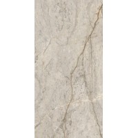 J88871 CANOVA OXFORD GREY RETT 60x120