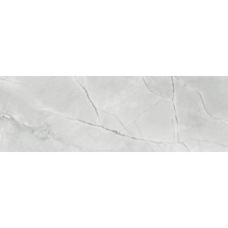 JAY710 TESEO GRIS 40x120