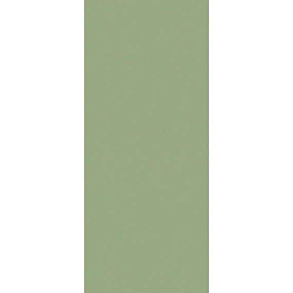 Керамогранит JS6024P Керамогранит Pine Green Matt 120x280