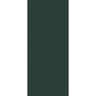 JS6026M Керамогранит Posidonia Green Text 120x280