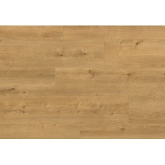 JUM00421AP Дуб песчаный