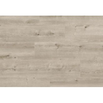 JUM00428AP Дуб снежный