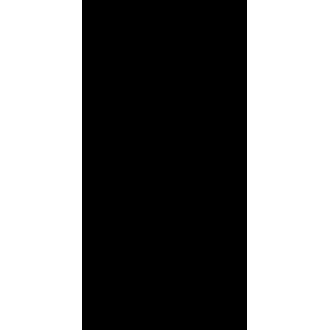 Jade Black 60x120