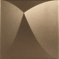 June Bronze 25x25