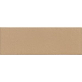 Jungle Earth 10х30