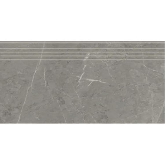 Керамогранит K-2202/MR/st01 Skala Grey Beige 300x600x9