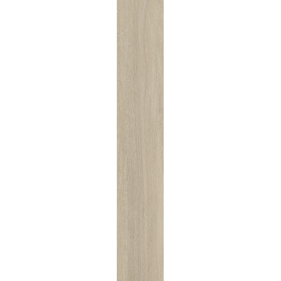 Керамогранит K947908R0001VTEB Греж Матовый R10A Ректификат 20x120