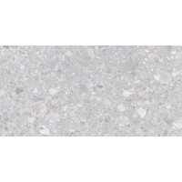 K952681R0001LPEP Matrix светло-серый 60x120