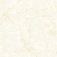 KASRA Polished 80x80