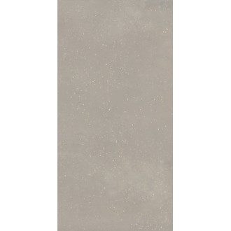 KM6012G1361R8 Пунтум серый светлый матовый обрезной 60x119,5x0,8