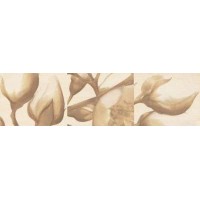 L-MORINGA 3A 16,2x59,3