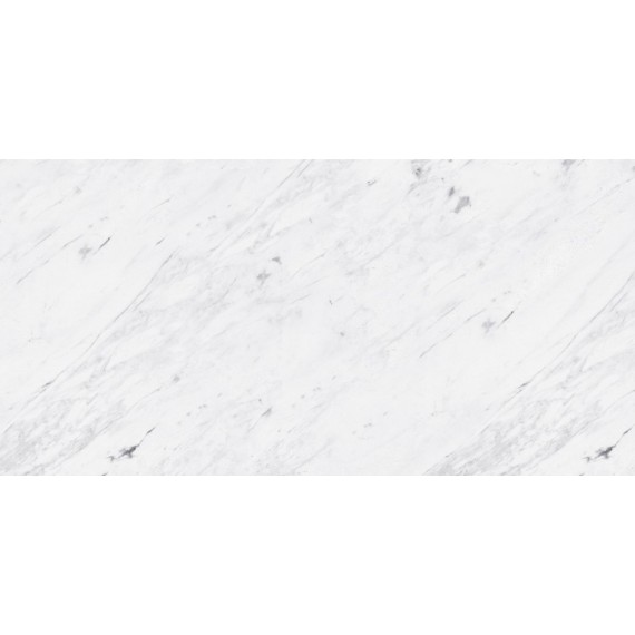 Керамическая плитка L108025891 PERSIAN WHITE Сlassico Bioprot 40x80