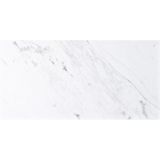 L112995691 PERSIAN WHITE Classico Bioprot 30x60