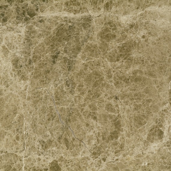 Керамическая плитка L116686001 Capuccino Pulido Bioprot 60x60