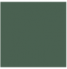 L4418-1Ch Green - Loose 10х10