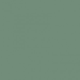 L4428-1Ch Light Green 28 - Loose 10х10