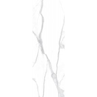 LAMF008752_IT Керамогранит Statuarietto Altissimo 5 1000x3000