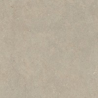 LGWIN40 Керамогранит Intense Toffee Nat RT 9mm 60x60