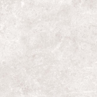 LIGHT GREY POLISHED 60x60