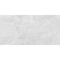 LP6012G0231R Керамогранит Berna Silver светло-серый матовый 59,5х119,1