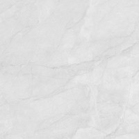 LP6060G0241R Керамогранит Berna Silver светло-серый матовый 59,5х59,5