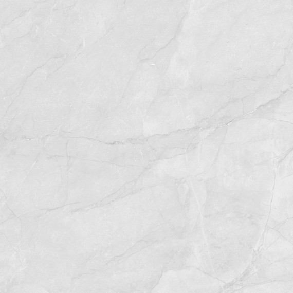 Керамогранит LP6060G0241R Керамогранит Berna Silver светло-серый матовый 59,5х59,5
