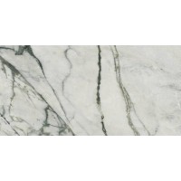 LS6S5X0 CALACATTA EMERALD LEV 120x278