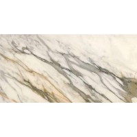 LS6S5X1 GOLDEN BORG LEV 120x278