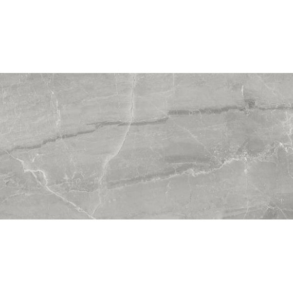  LS6S5X2 GRAY MARBLE LEV 120x278