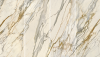 LS7S51ABCD Golden Borg Chain A+B+C+D Lev 120х278