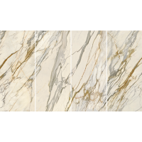 LS7S51ABCD Golden Borg Chain A+B+C+D Lev 120х278