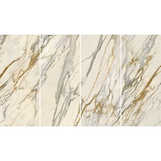 LS7S51ABCD Golden Borg Chain A+B+C+D Lev 120х278