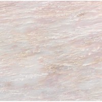 LSR0029 Peonia 60*60