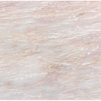 LSR0029 Peonia 60*60