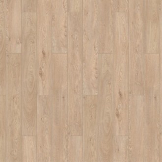 LTR03 Дуб Туманный