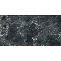 LU62486 AOSTA GREEN MARBLE LUC 60x120