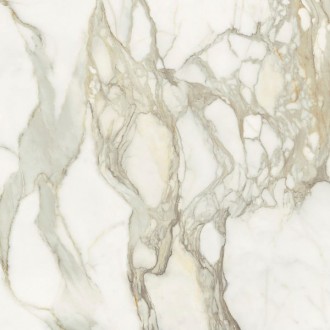 LU66365 Calacatta Oro Luc 60x60