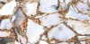 LUXURY STONE HIGH GLOSSY 60x120