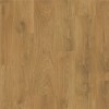 LVI61070 Quercus Oak