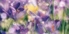 Laparet Панно Crocus P4D286 Плитка 80х40