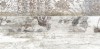 Laparet 34100 Плитка Next серый узор 25х50